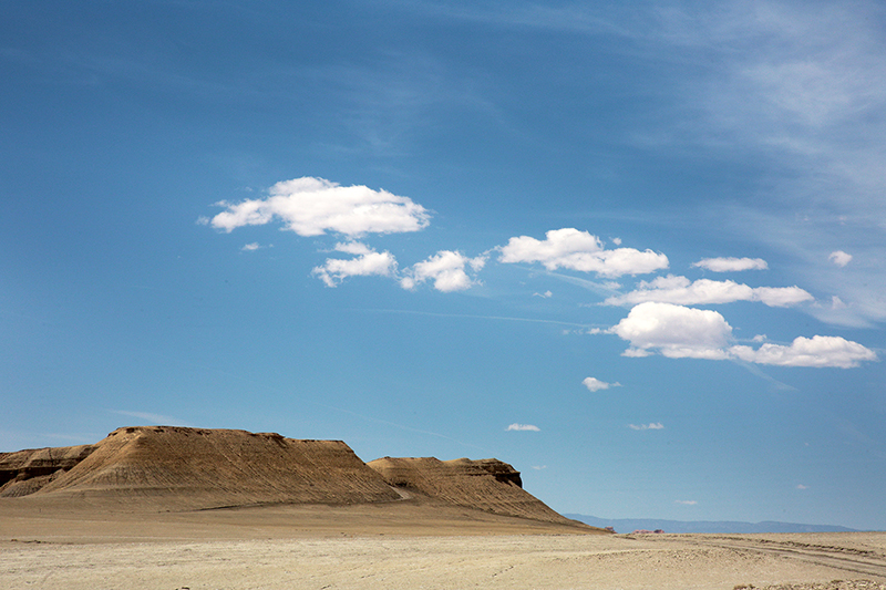 Bison : Antelope Island : Utah : Landscape Photos : Richard Moore : Photographer
